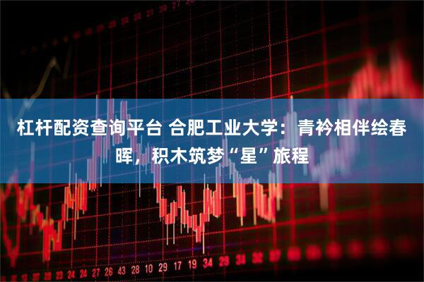 杠杆配资查询平台 合肥工业大学：青衿相伴绘春晖，积木筑梦“星”旅程