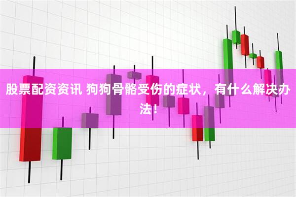 股票配资资讯 狗狗骨骼受伤的症状，有什么解决办法！